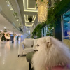 https://cdn.worldota.net/t/{size}/hotel_review/fd/b5/fdb50c3581e15055b529213bb8fa84f32d961581.JPEG
