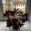 https://cdn.worldota.net/t/100x100/hotel_review/fd/bf/fdbf03970312c621d8d34bffab332d964d1191a3.JPEG