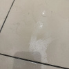 https://cdn.worldota.net/t/100x100/hotel_review/fd/ed/fded263dd429f672848cca9ed98a5c10da9fc76b.JPEG
