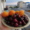 https://cdn.worldota.net/t/100x100/hotel_review/fe/b3/feb3b2bb0898ef739f1b755048451febde39f737.jpeg