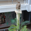 https://cdn.worldota.net/t/100x100/hotel_review/ff/3a/ff3a9691eb837fffefc9480272915a9e1d6ddef3.JPEG