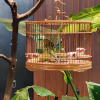 https://cdn.worldota.net/t/{size}/hotel_review/ff/f0/fff044b3e01925dc3c1babc6b301b8a987d2fb74.JPEG