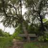 Отель Xobega Island Camp, фото 5
