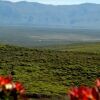 Отель Grootbos Private Nature Reserve, фото 14