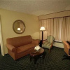 Отель Holiday Inn Houston-Near The Galleria, фото 1