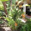 Отель Camino Inn & Suites, фото 17