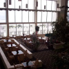 Отель Holiday Inn Destin On The Beach, фото 10