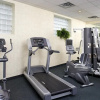 Отель Four Points by Sheraton Toronto Lakeshore, фото 8