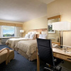 Отель Four Points by Sheraton Toronto Lakeshore, фото 4
