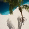 Отель Surf Club Hotel, фото 11
