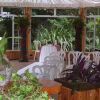 Отель Fantail Lodge Country Estate, фото 17