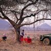 Отель Samburu Serena Safari Lodge, фото 25