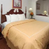 Отель Comfort Suites at UNT, фото 13