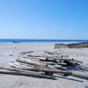 Отель Downbeach Inn, фото 16