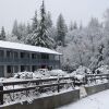 Отель Gold Country Inn в Плейсервилле