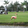 Отель Hollywood Beach Golf Resort, фото 23