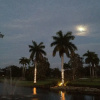 Отель Hollywood Beach Golf Resort, фото 32