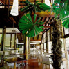 Отель Cape Tribulation Resort & Spa, фото 16