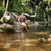 Отель Cape Tribulation Resort & Spa, фото 14