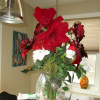 Отель Stoney Creek House Bed and Breakfast, фото 15