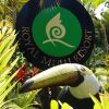 Отель Royal Mulu Resort, фото 12