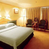 Отель Starway Premier Longdu Hotel Jinan, фото 3