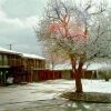 Отель Valli-Hi Motel, фото 3