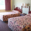 Отель Thrifty Inn, фото 2
