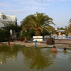 Отель Eolian Hotel, фото 11