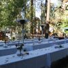 Отель Castle Wood Theme Cottages- COUPLES ONLY, фото 17