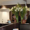 Отель Dazzler Suites Juncal, фото 13