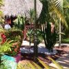 Отель La Palmera Hotel, фото 17