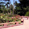 Отель Live Oak Springs Resort, фото 1