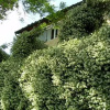 Отель In centro - Mutino, фото 4
