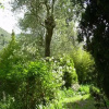 Отель In centro - Mutino, фото 3