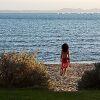 Отель Terraza, фото 31