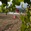 Отель Castello di Barattano, фото 6