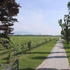 Отель Tenuta Santomè, фото 31