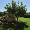 Отель Bed & Breakfast Las Rosas, фото 26