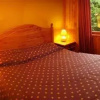 Отель Alto Villarrica Hotel Resort, фото 5