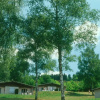 Отель Cap Vacances -Village Cap Vacances Treignac, фото 6