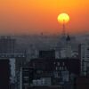 Отель Cetro Real Condominium & Suites, фото 14