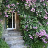 Отель Quinta De Ribas, фото 2