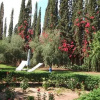 Отель Riad Bakoua - Dar Safia, фото 11