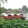 Отель Lotus Place Hotel, фото 13