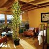 Отель Balcones De Los Andes, фото 6