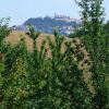 Отель Casale Moretti, фото 10