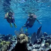 Отель Maho Bay Camps, фото 8