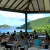 Отель Maho Bay Camps, фото 9