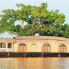 Отель Kerala Luxury House Boat, фото 37
